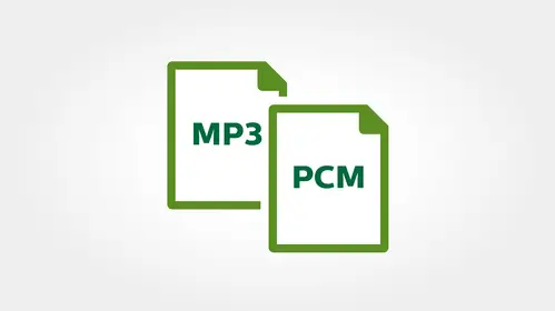 הקלטת MP3 ו-PCM בסטריאו להשמעה ברורה ושיתוף קבצים קל