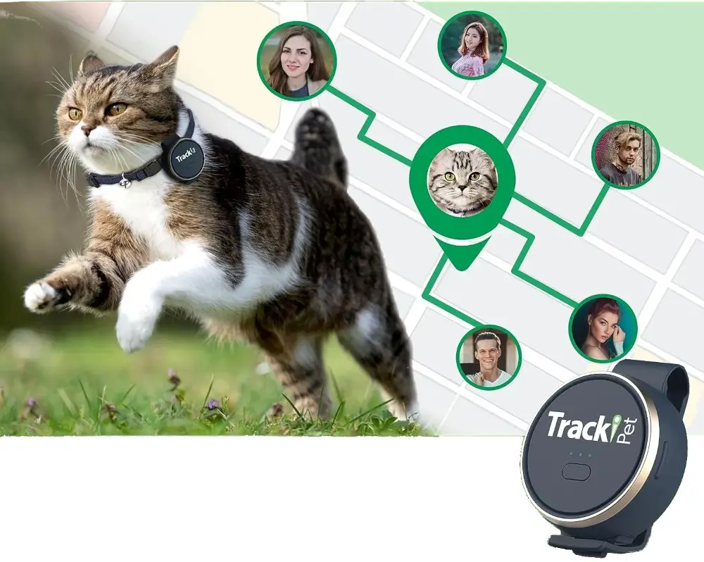 כדי להפעיל את מכשיר מעקב ה-GPS Tracki Dog תכונות ייחודיות למציאת בעל חיים אבוד