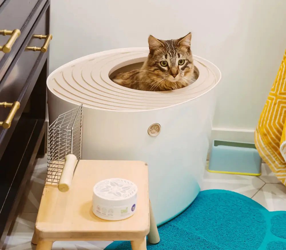 Fresh Wave Litter Box